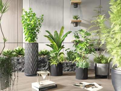 绿植3D模型下载